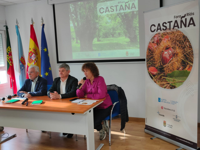 Medio Rural señala a Galicia como líder en el fomento del castaño por superficie cultivada y calidad en la producción.