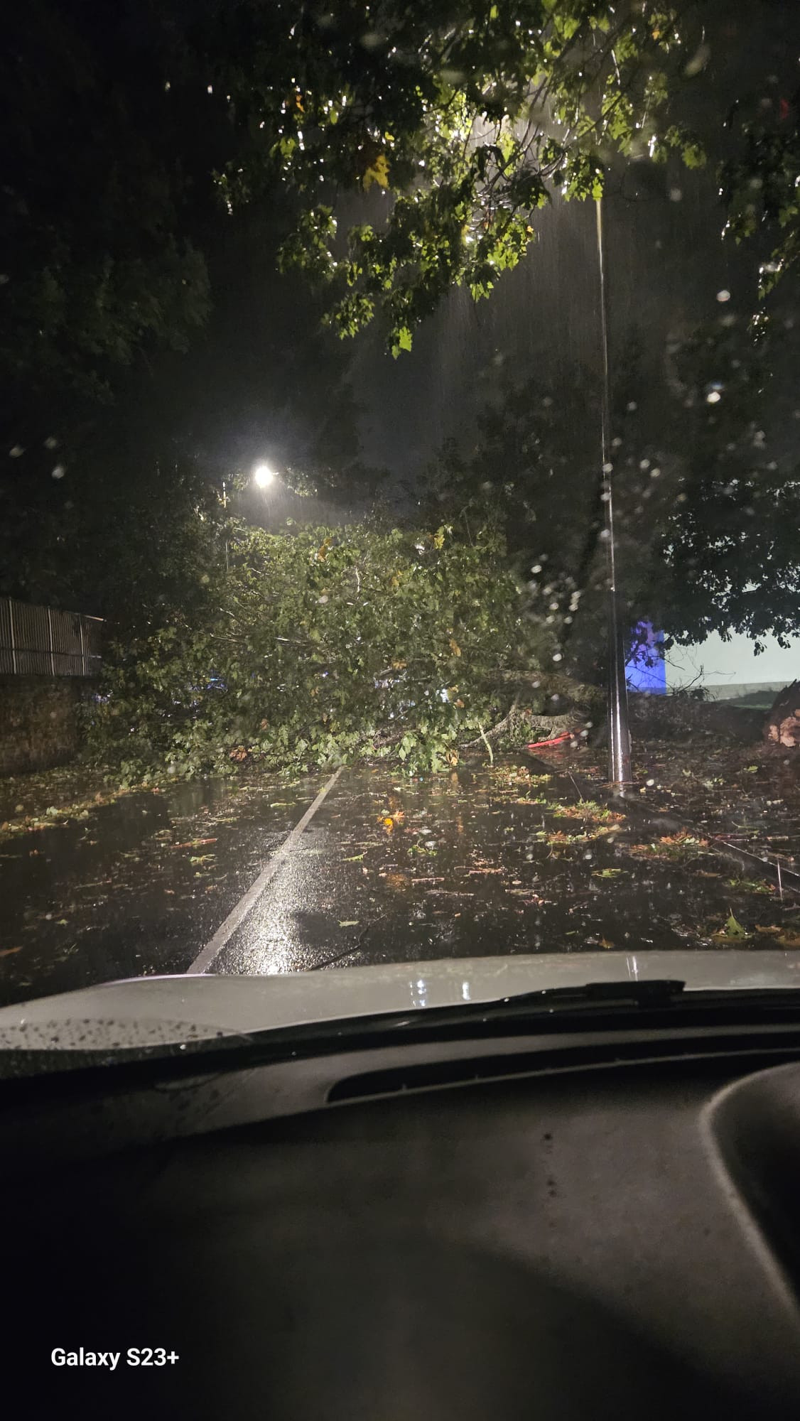 Arbol cau00eddo sobre la avenida de Castelao en Santiago de Compostela por el huracu00e1n Kirk