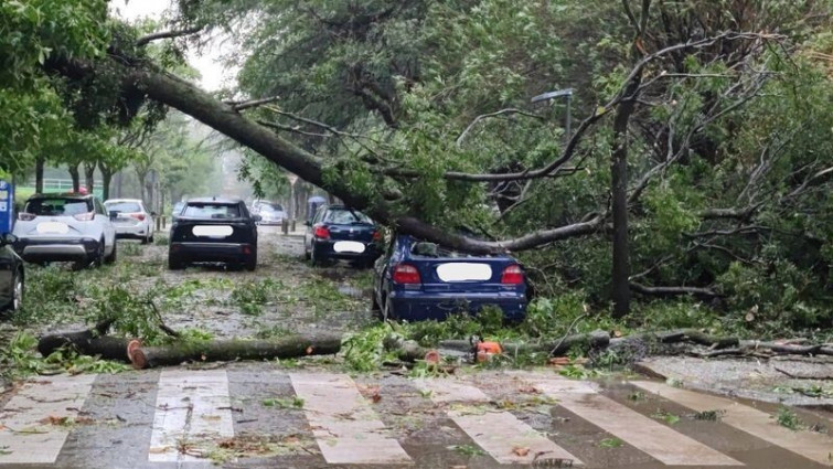 (VÍDEOS) Tejas y ramas caídas, contenedores volcados o flotando, muros en el suelo...los efectos de Kirk por toda Galicia