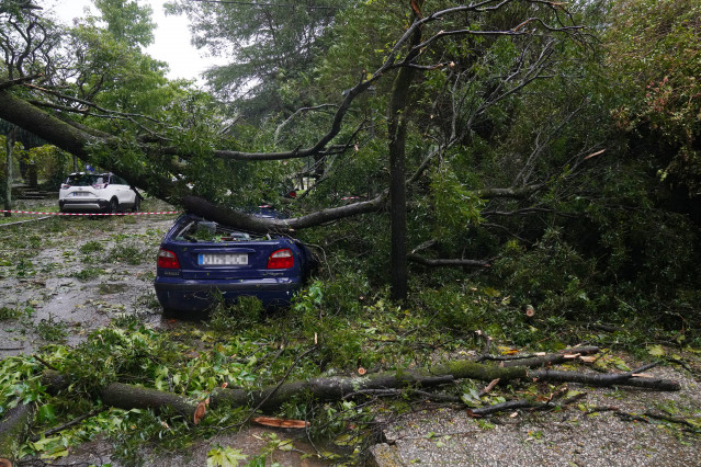 Un árbol caído sobre un coche en el campus universitario, a 9 de octubre de 2024, en Santiago de Compostela, A Coruña, Galicia (España). La Agencia Estatal de Meteorología (AEMET) ha puesto a Galicia en alerta naranja por la borrasca Kirk, que provoca rac