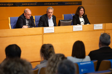 El conselleiro de Sanidade, Antonio Gómez Caamaño.