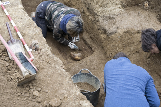 Archivo - Arqueólogos durante la exhumación en diciembre de 2022