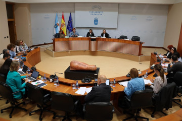 Comisión 5ª, de Sanidade, Política Social e Emprego del Parlamento gallego.