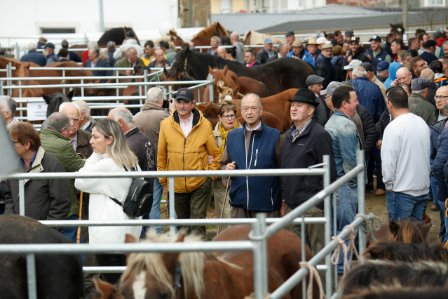 Feria de ganado de As San Lucas, a 18 de octubre de 2024, en As Lucas, Mondoñedo, Lugo, Galicia (España).