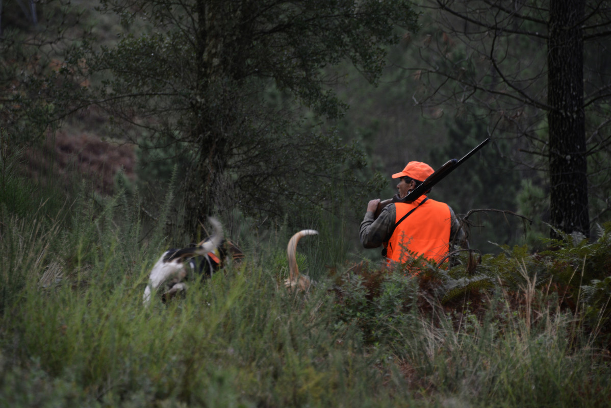 Un cazador en los montes de Cameixa, en el municipio ourensano de Boborás, durante el primer día de declaración de emergencia cinegética en Galicia, que permite cazar jabalís sin límite hasta fe