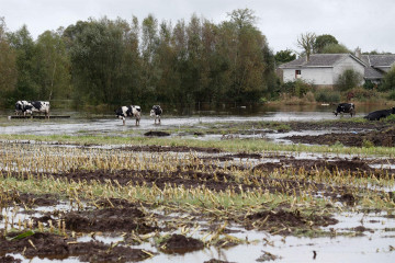 Terra cha inundación