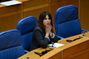 La conselleira de Economía e Industria, María Jesús Lorenzana, este martes en el pleno del Parlamento