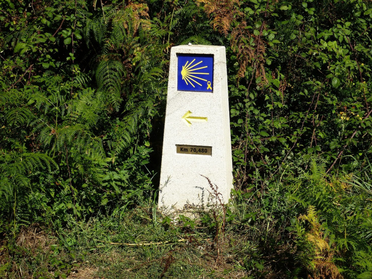 Vive el Camino de Santiago de una forma diferente con Orbis Ways