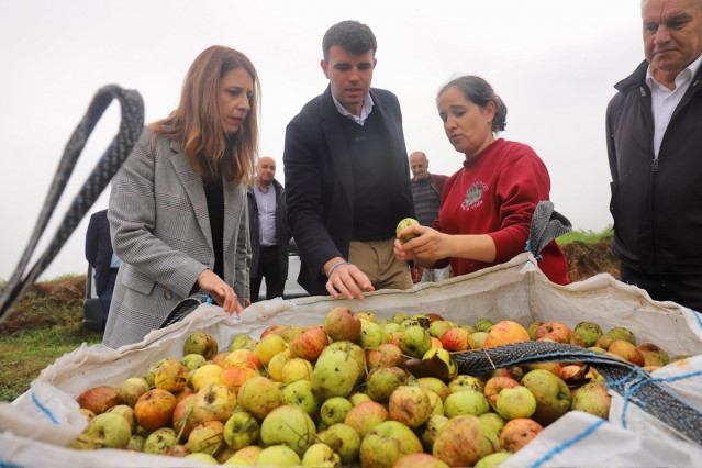 La conselleira do Medio Rural, María José Gómez, en A Estrada (Pontevedra)