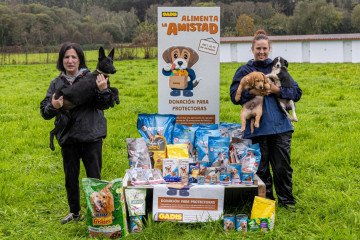 Campaña de Gadis de recogida de productos para animales de protectoras