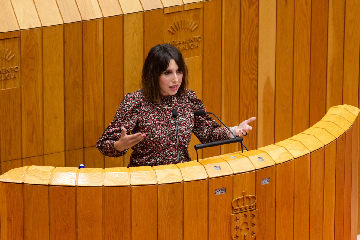 La conselleira de Economía e Industria, María Jesús Lorenzana, en el pleno del Parlamento