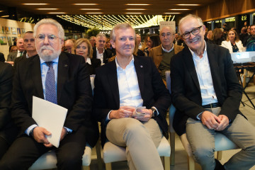 El titular del Ejecutivo gallego, Alfonso Rueda, asiste al cóctel benéfico por el 40º aniversario del centro Juan María. Pazo de Cea (Nigrán), 7/11/24.