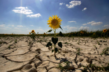 Cambio climático sequ