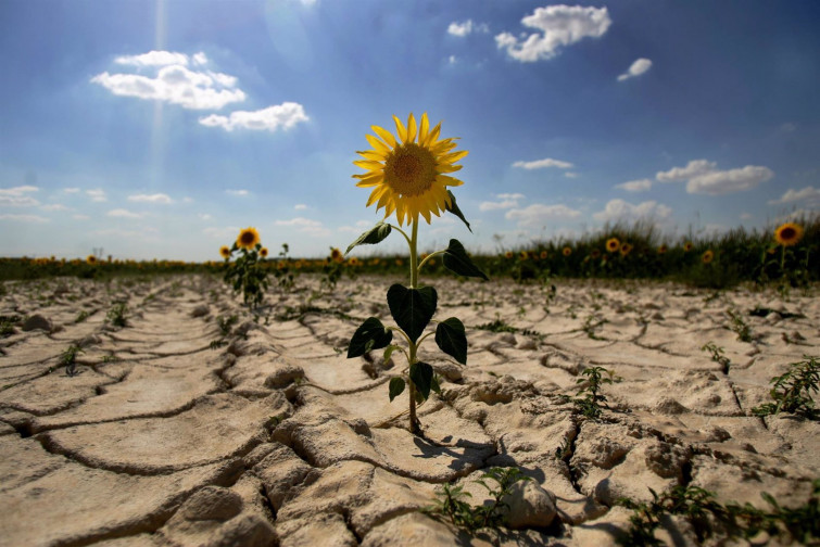 1 billón de dólares al año, la cifra mágica para luchar contra el cambio climático en el planeta