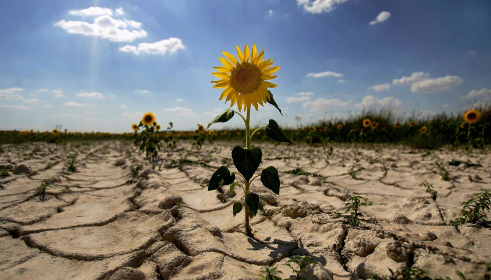 Cambio climático sequ