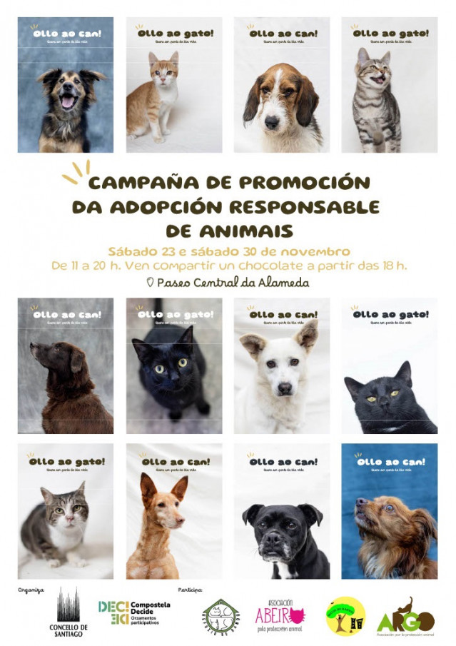 El Ayuntamiento de Santiago lanza la campaña 'Ollo ao can' para concienciar sobre la adopción de animales