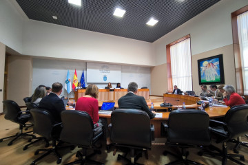 Comisión de investigación de la contratación de la Xunta en el Parlamento de Galicia, 28 de noviembre de 2024.