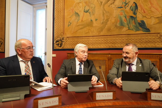 Senadores del PP de Lugo en el Senado