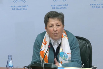 La exconselleira de Sanidade Pilar Farjas en la comisión de investigación de los contratos de la Xunta.