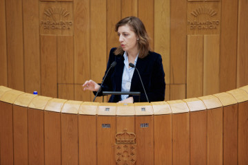 La conselleira de Medio Ambiente e Cambio Climático, Ángeles Vázquez, en una intervención en el Parlamento de Galicia.