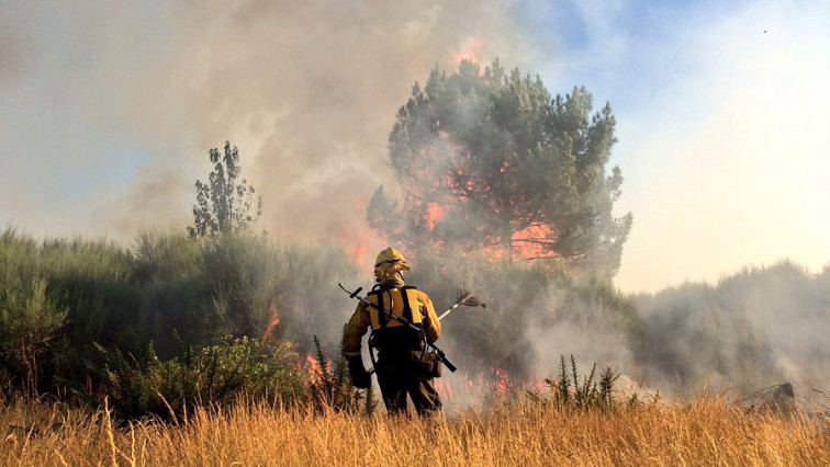 ​Controlado un incendio forestal en O Irixo tras quemar unas 20 hectáreas