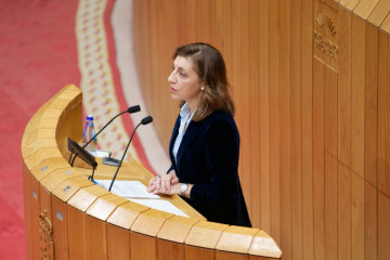 La conselleira de Medio Ambiente, Ángeles Vázquez, en el Parlamento