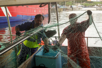 Archivo - Pescadores descargan el pescado y el marisco capturado hoy en el Puerto de Burela, a 21 de diciembre de 2022, en Burela, Lugo, Galicia (España). Este año ha pasado por las rulas gallegas l