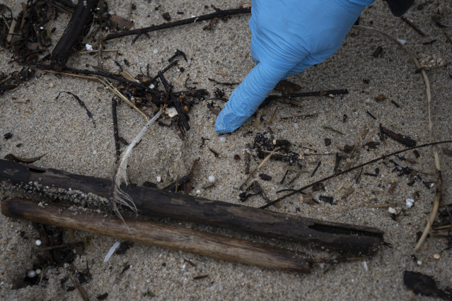 Archivo - Un voluntario recoge pellets en la playa de Samil, a 10 de enero de 2024, en Vigo, Pontevedra, Galicia (España).