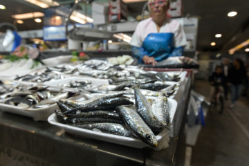 Archivo - Sardinas en las pescaderías de la Praza de Lugo, a 22 de junio de 2023, en A Coruña, Galicia (España). El kilo de sardina ha alcanzado en la mañana de hoy un precio de unos ocho euros en