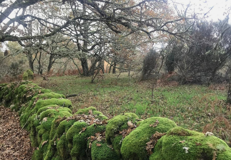 Marcha para reivindicar el valor ecológico como respuesta a la amenaza eólica de Greenalia en Monte Grande