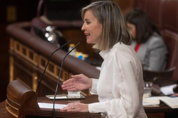 La portavoz de Sumar en el Congreso, Verónica Martínez, interviene durante una sesión plenaria, en el Congreso de los Diputados, a 27 de noviembre de 2024, en Madrid (España).