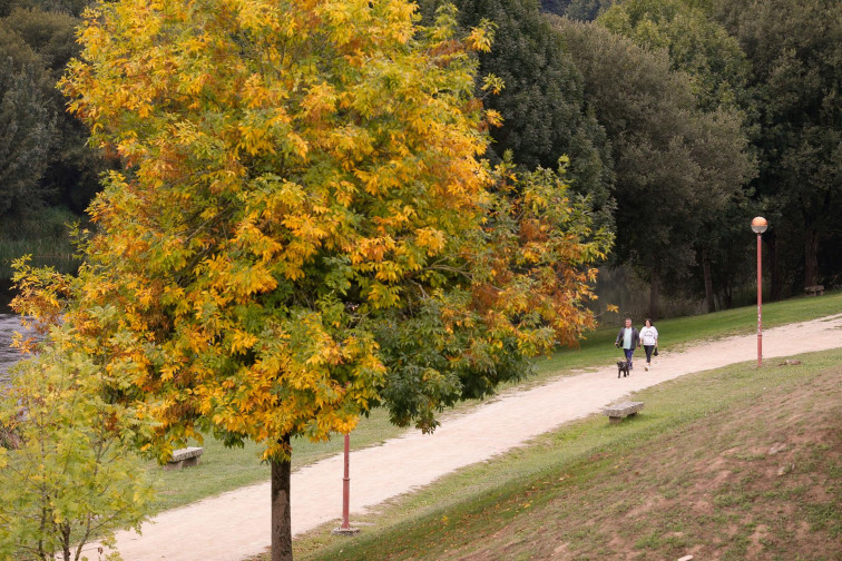 El otoño en Galicia ha sido muy cálido y húmedo en 2024