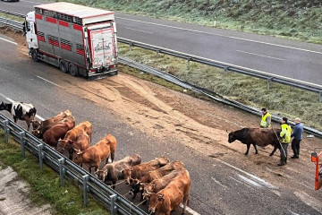 Corte de la A8 en Abadín