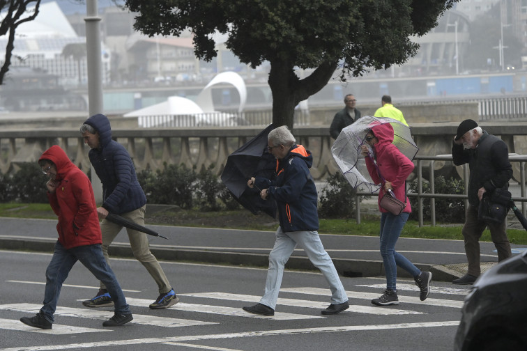 Vientos huracanados causan el cierre de parques y la suspensión de transportes en Vigo, A Coruña y otras localidades