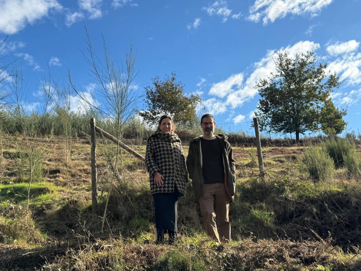 Presentaciu00f3n del proyecto forestal en Pazos de Borbu00e9n