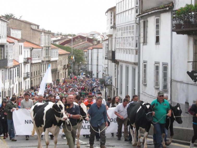 ​Os gandeiros acusan a Lactalis de considerar a España 