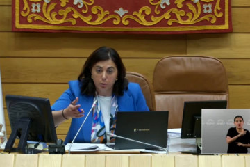 La vicepresidenta primera del Parlamento de Galicia, Elena Candia