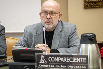 Gonzalo Boye, abogado de Carles Puigdemont, compareciendo en el Congreso