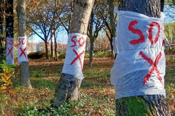 Ecologistas alertan de la 