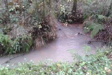 Vertido en el río Pucheiros.