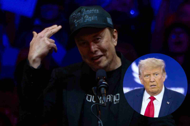 Trump y Musk: ¿Pueden vivir dos gallos en el mismo corral?