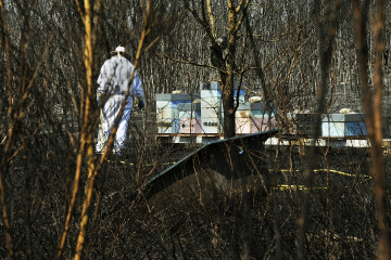 Archivo - Un apicultor revisa y riega sus colmenas junto a una zona quemada por el incendio de Cualedro (Ourense) que sigue sin control desde su inicio el miércoles y que se ha convertido ya en el pe