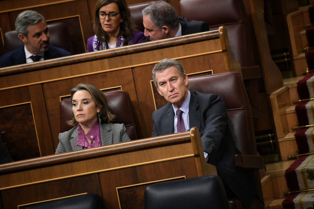 Archivo - La secretaria general del PP, Cuca Gamarra, y el presidente del PP, Alberto Núñez Feijóo, durante un pleno en el Congreso de los Diputados, a 19 de diciembre de 2024, en Madrid (España). El Pleno del Congreso da 'luz verde' definitiva al proyect