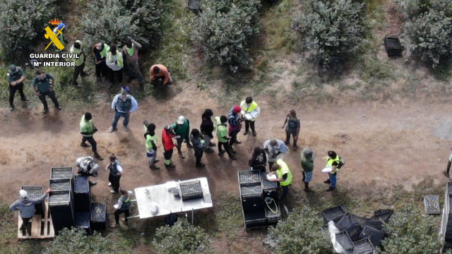 Inspección de la Guardia Civil y la ITSS de Lugo en una finca agrícola de la provincia, donde fueron identificados 82 trabajadores extranjeros en situación irregular. Se investiga a tres personas por estos hechos.