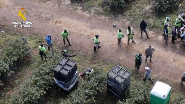 Inspección en una explotación agrícola de Begonte (Lugo), donde se identificó a 82 temporeros extranjeros en situación irregular. Hay tres personas investigadas por un supuesto delito contra los derechos de los trabajadores.