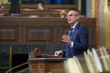 El diputado del PPdeG en el Congreso Celso Delgado en una intervención en la Cámara Baja.