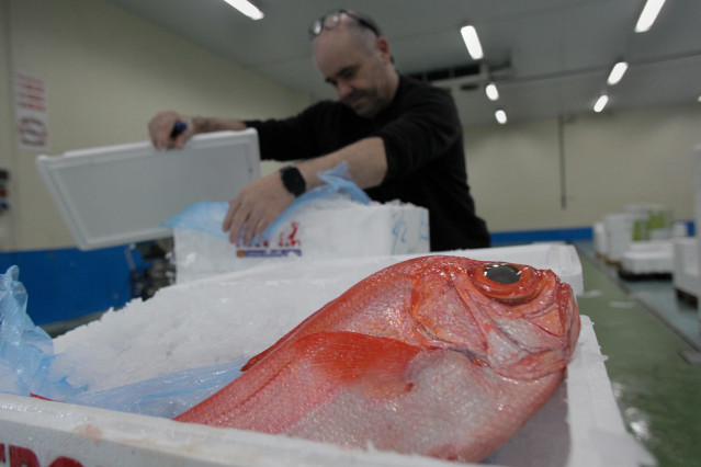 Archivo - Un besugo en la lonja de Burela, a 15 de diciembre de 2022, en Burela, Lugo, Galicia, (España). Este año ha pasado por las rulas gallegas la menor cantidad de pescado y marisco en casi dos décadas. Esto indica que las capturas de la flota se han