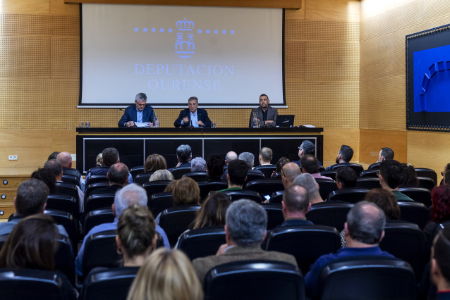 El presidente de la Diputación de Ourense, Luis Menor