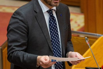 El conselleiro de Presidencia, Xustiza e Deportes, Diego Calvo, responde a una pregunta en el pleno del Parlamento gallego.