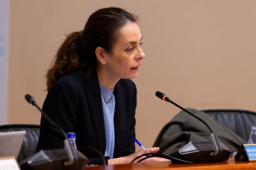 La directora xeral de Ordenación e Innovación Educativa, Judith Fernández, durante su comparecencia en el Parlamento.